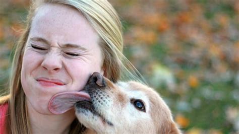 Dog licks womans wet pussy so good that she comes